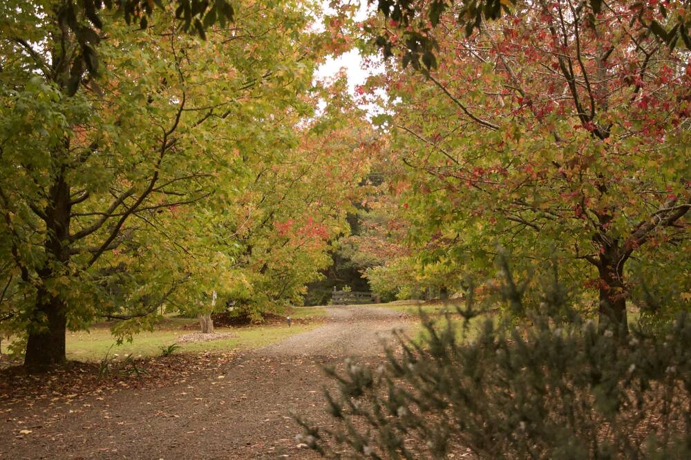 Photo of Outdoor in Kurrajong Heights