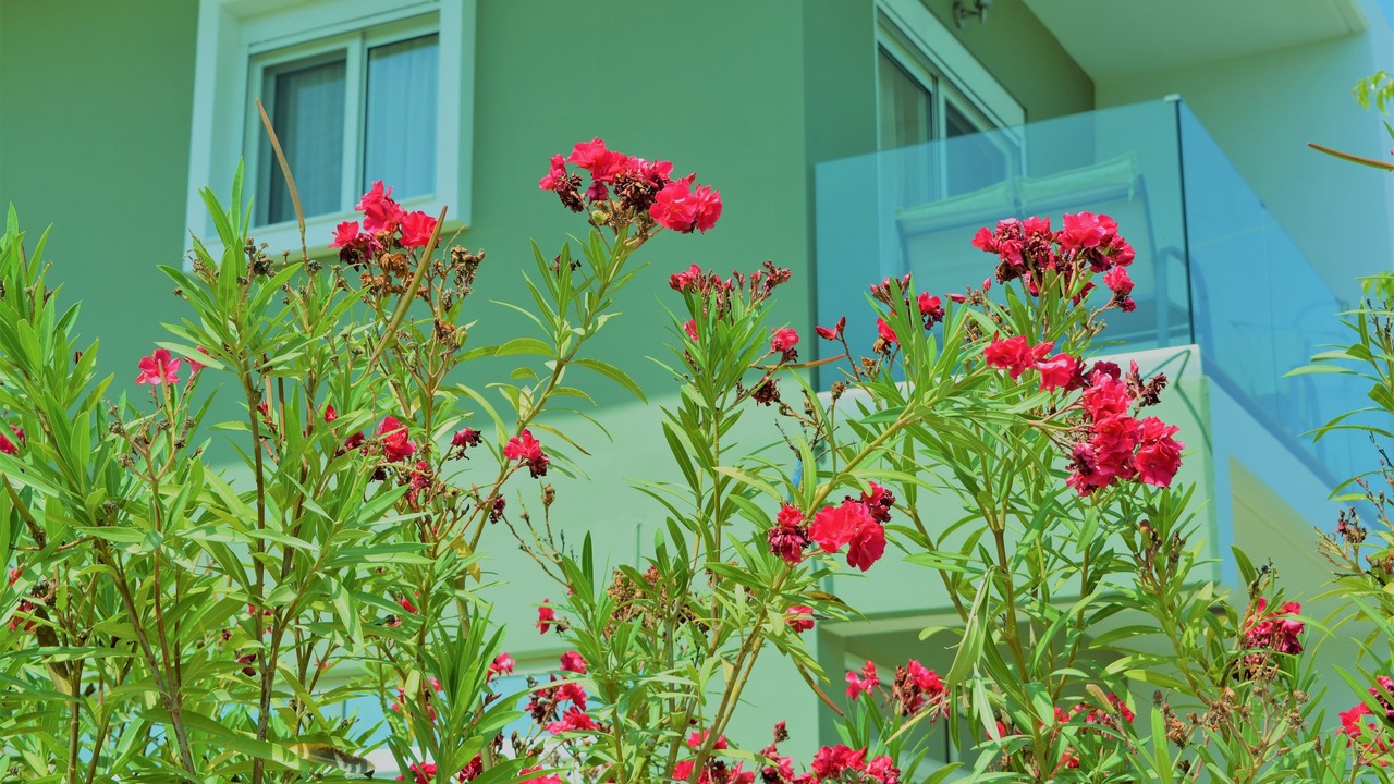 Photo of Outdoor in Faliraki