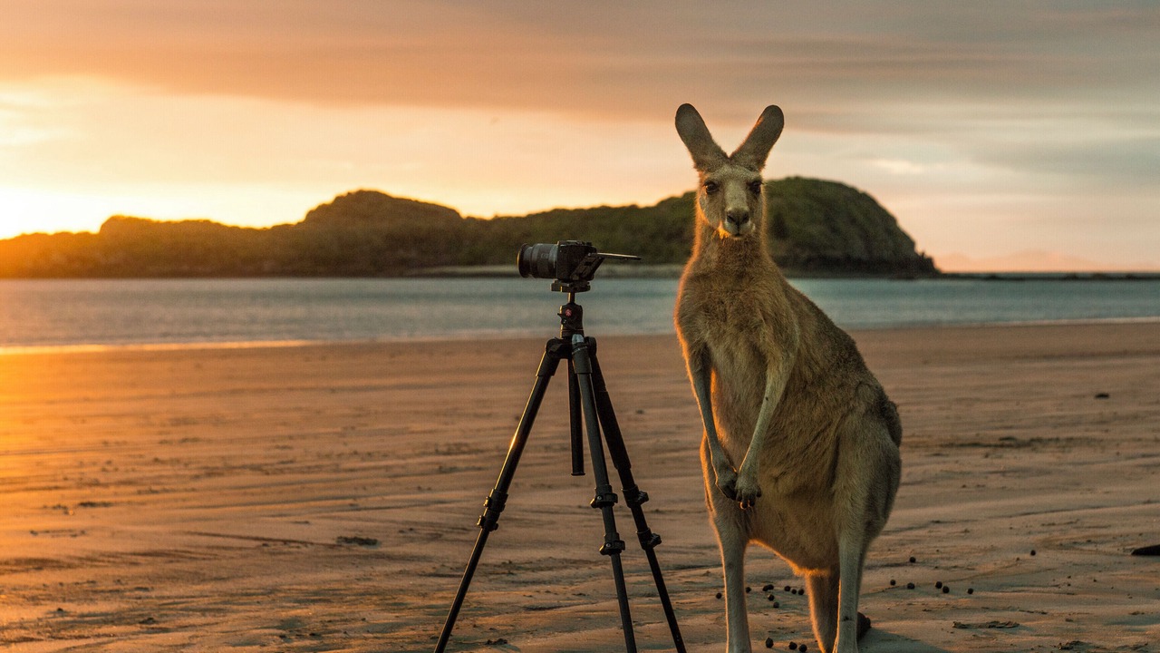 Photo of Others in Mackay
