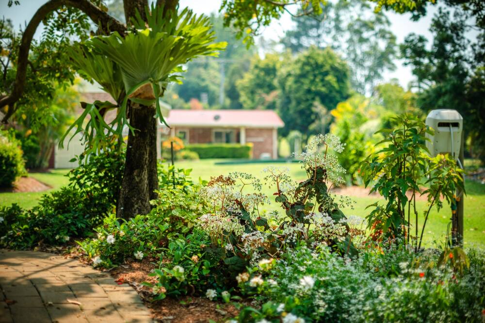 Photo of Outdoor in Boambee