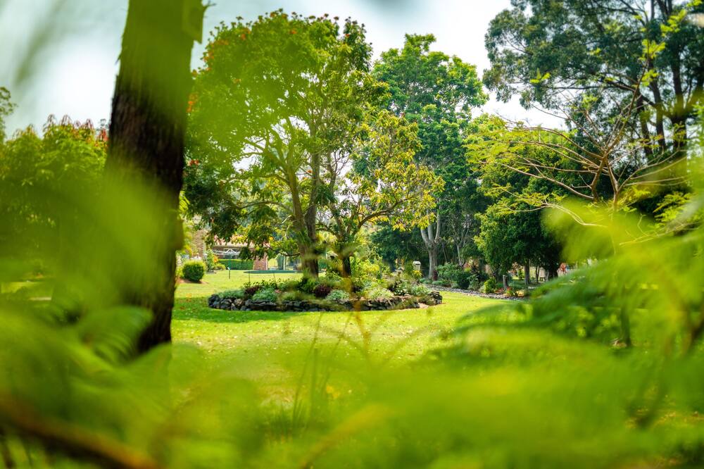 Photo of Outdoor in Boambee