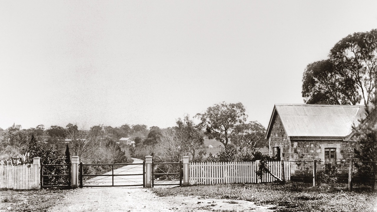 Photo of Others in Milne