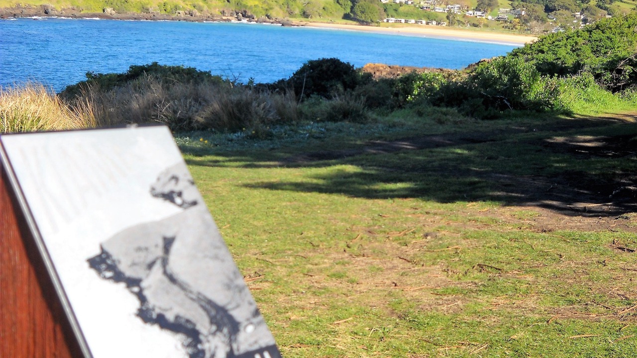 Photo of Outdoor in Kiama