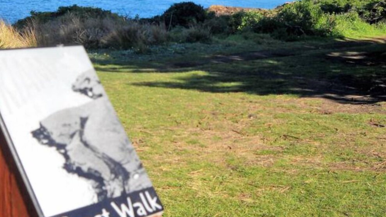 Photo of Others in Kiama