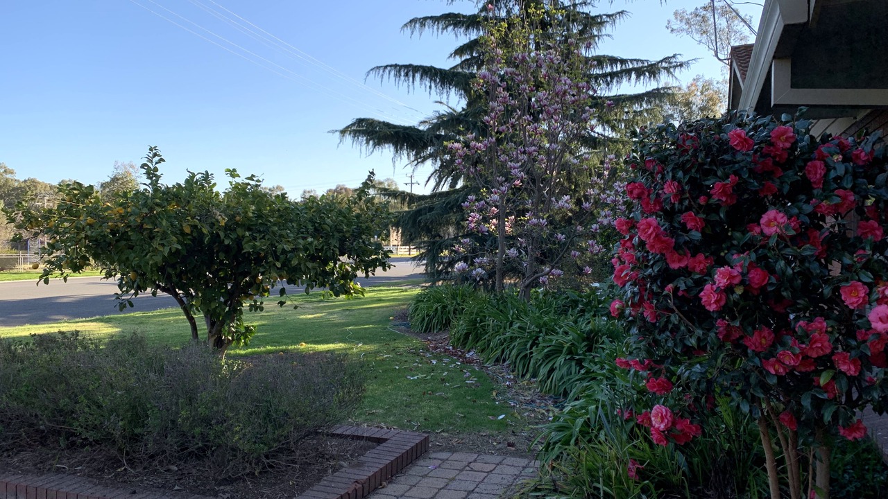 Photo of Outdoor in Tocumwal
