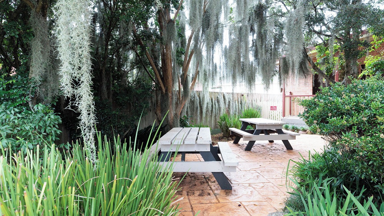 Photo of Outdoor in Paterson