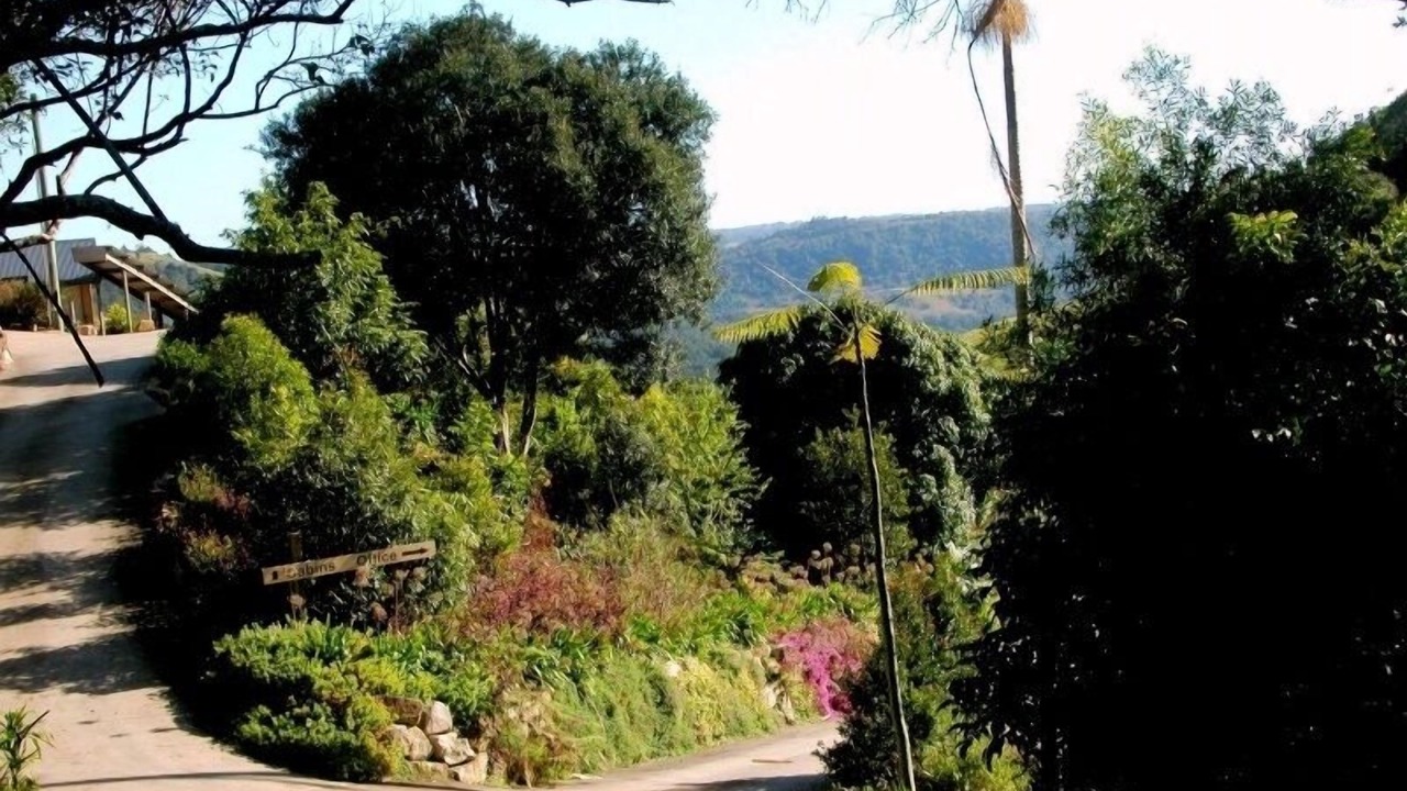 Photo of Outdoor in Bald Knob