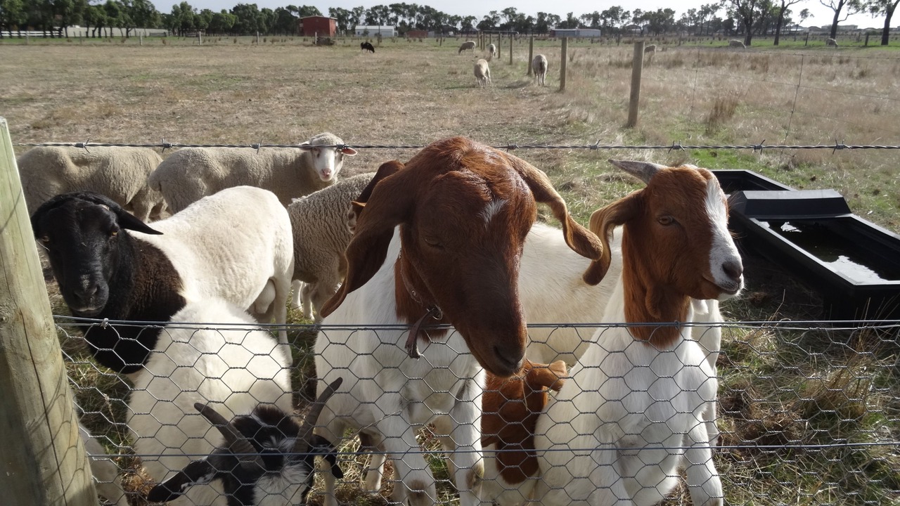 Photo of Outdoor in Portarlington