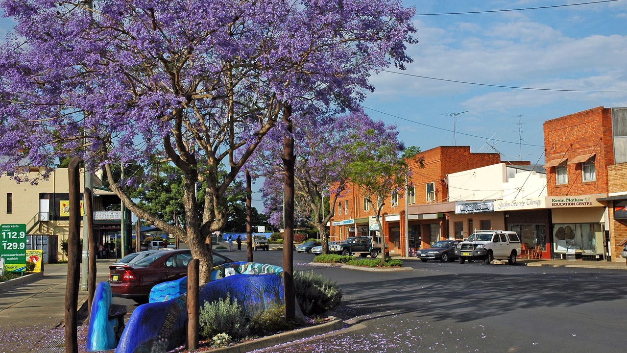 Photo of Others in South Grafton