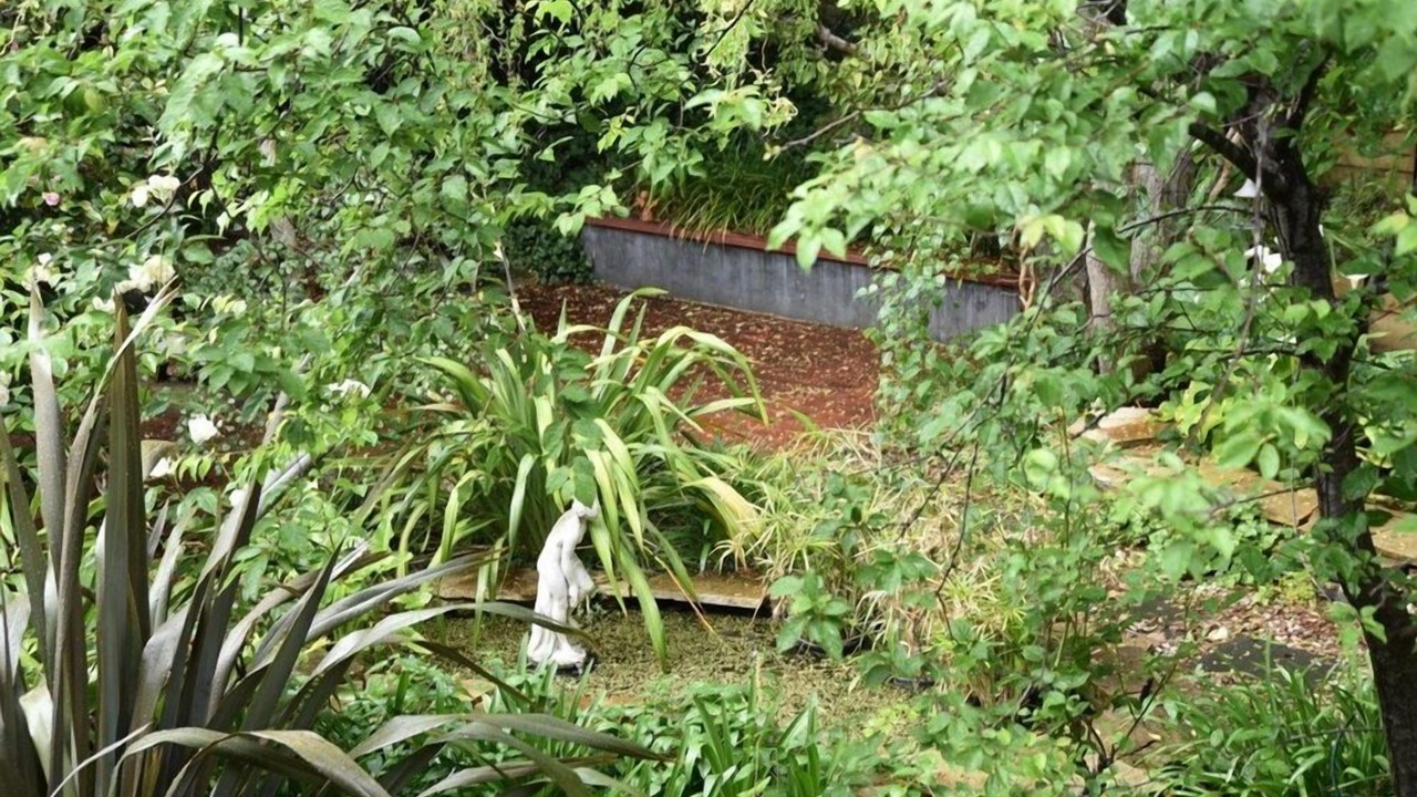 Photo of Outdoor in Sandy Bay