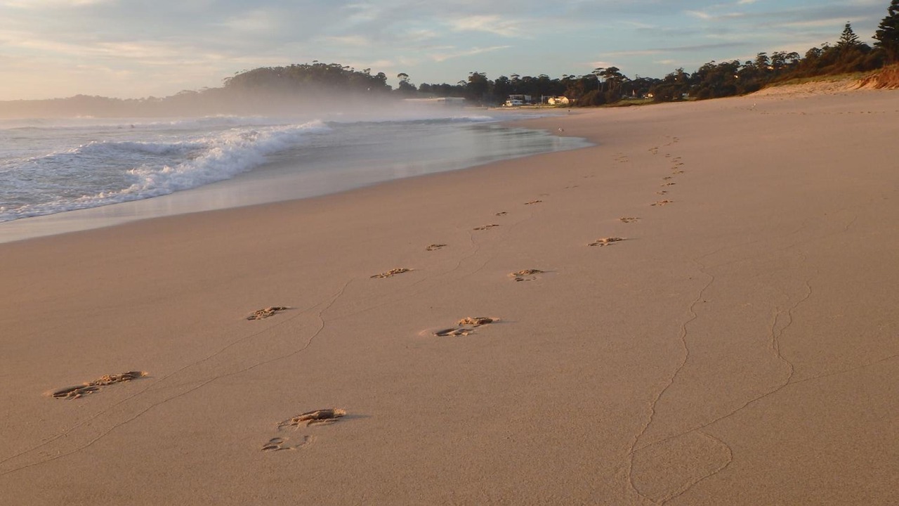 Photo of Others in Mollymook Beach