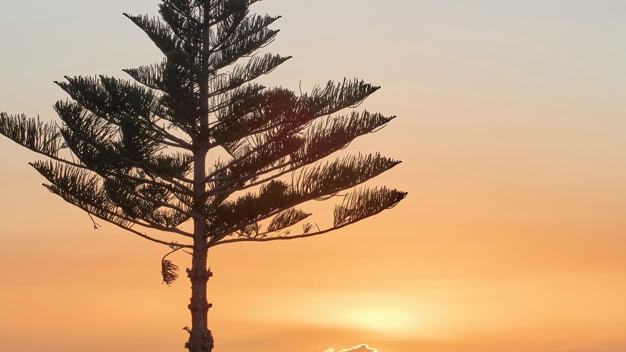 Photo of Others in Mastichari