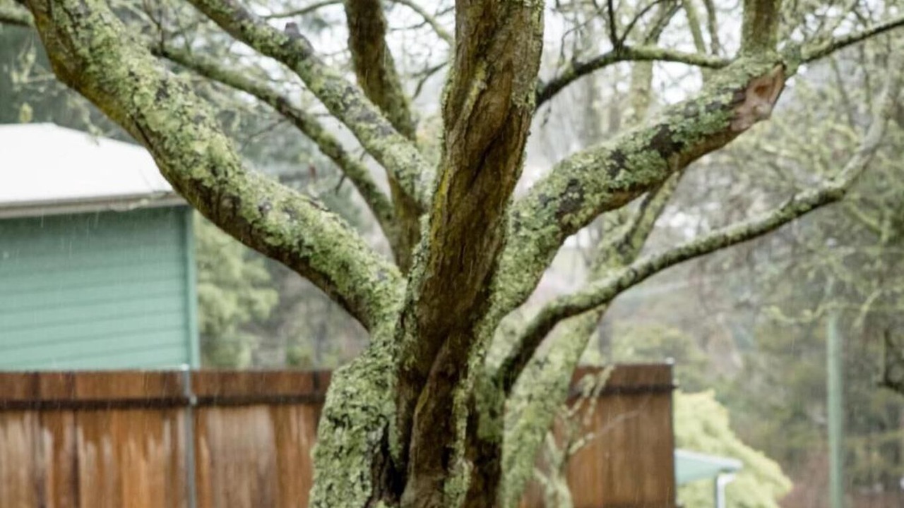 Photo of Outdoor in Mount Victoria