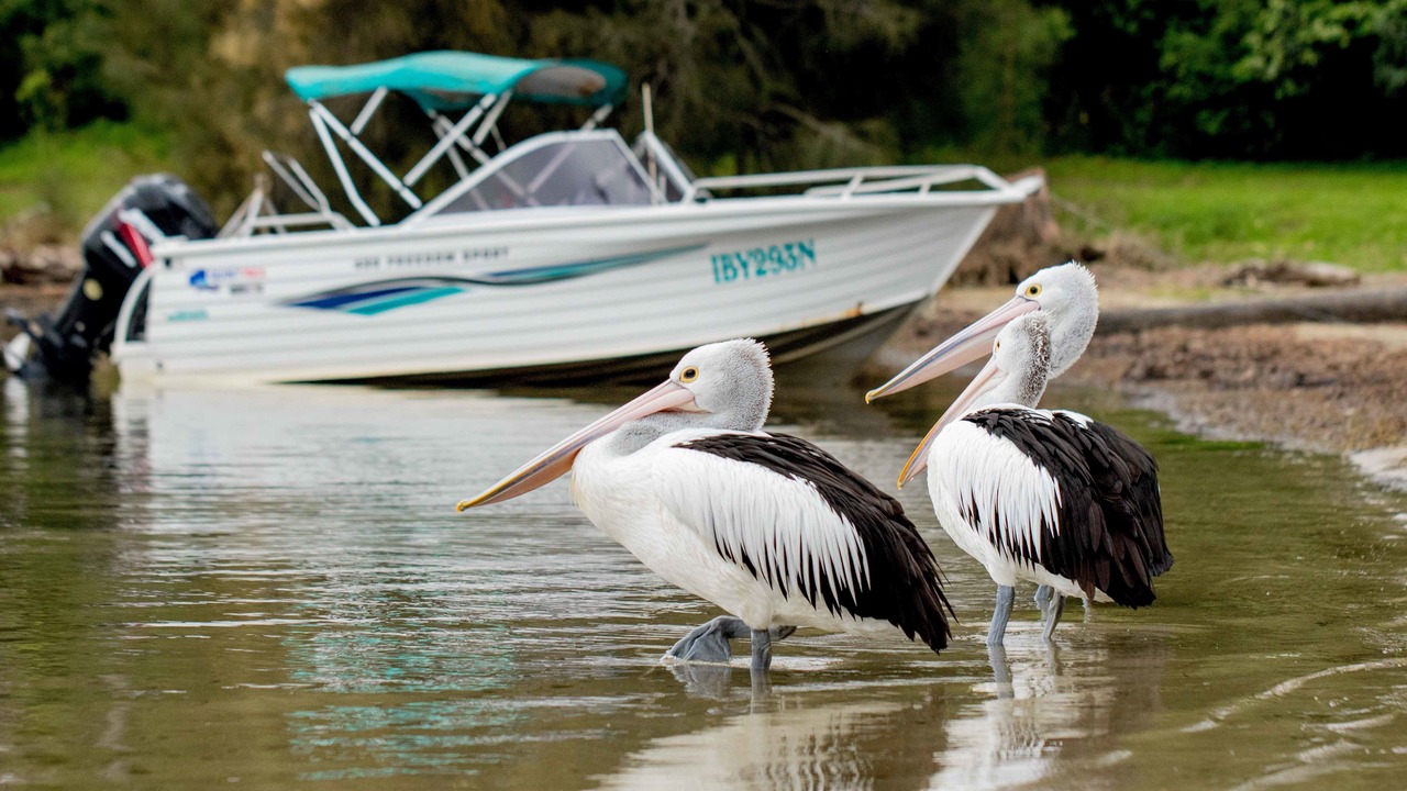Photo of Others in Wallaga Lake