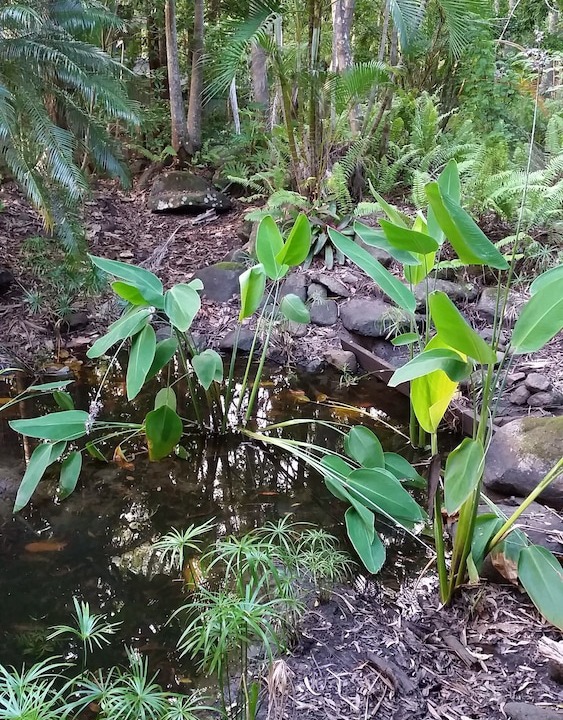 Photo of Outdoor in Hunchy