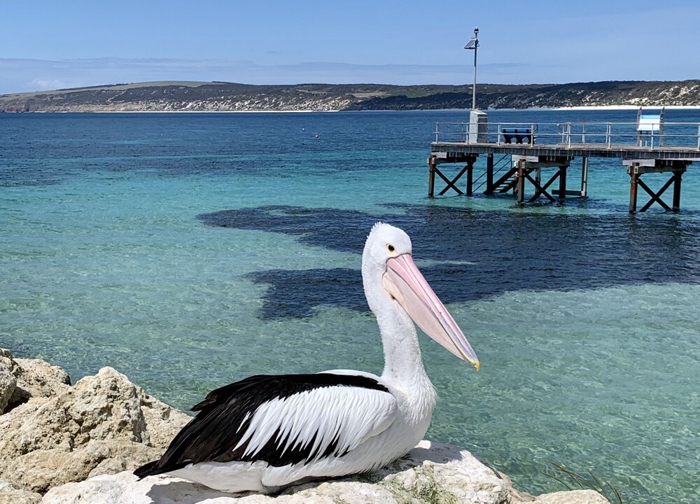 Photo of Others in Emu Bay