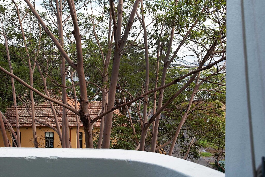 Photo of Buildings in Darling Point