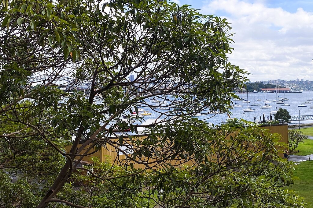 Photo of Others in Darling Point
