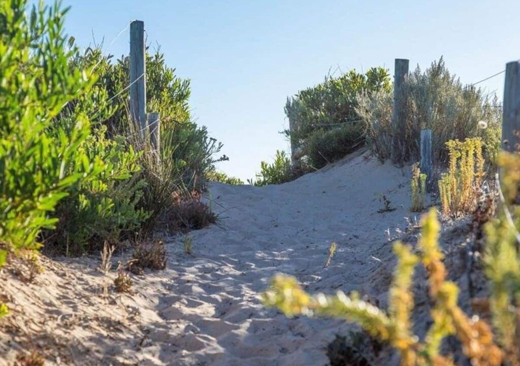 Photo of Outdoor in Goolwa Beach