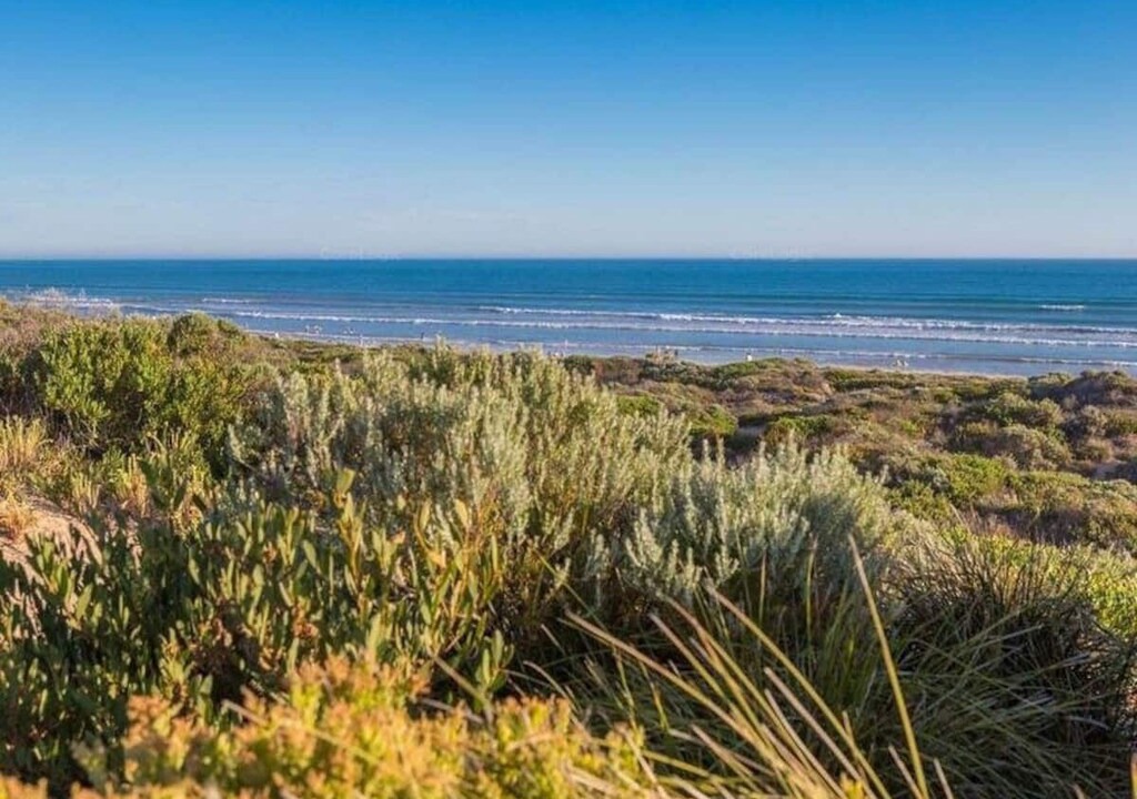 Photo of Outdoor in Goolwa Beach