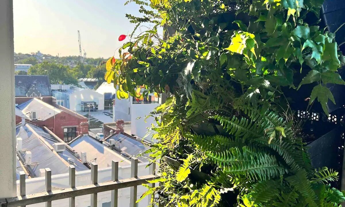 Photo of Outdoor in Prahran