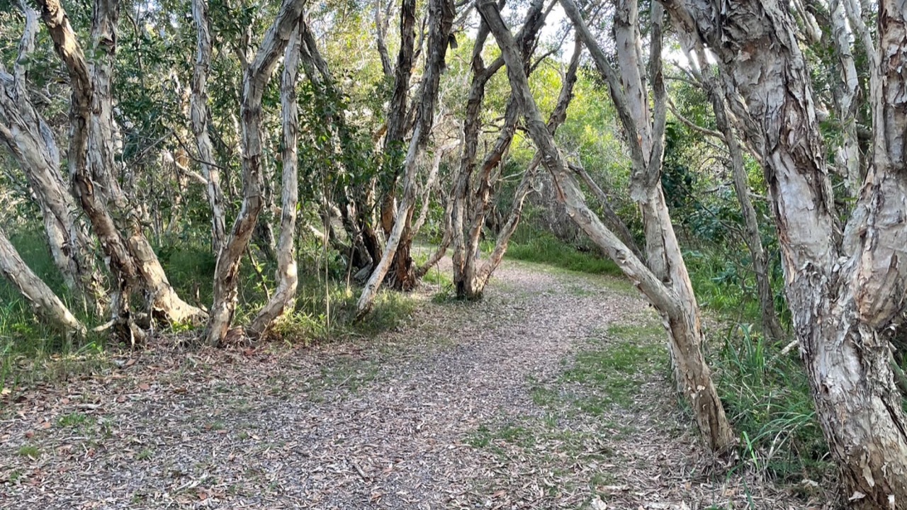 Photo of Others in Shelly Beach
