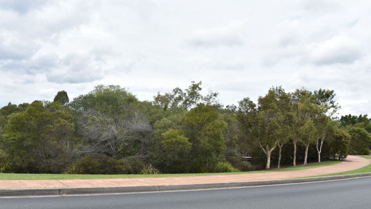 Photo of Others in North Lakes