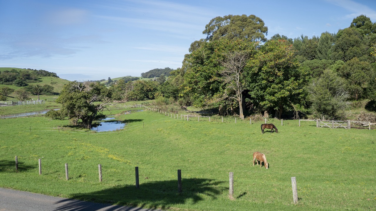 Photo of Outdoor in Rose Valley
