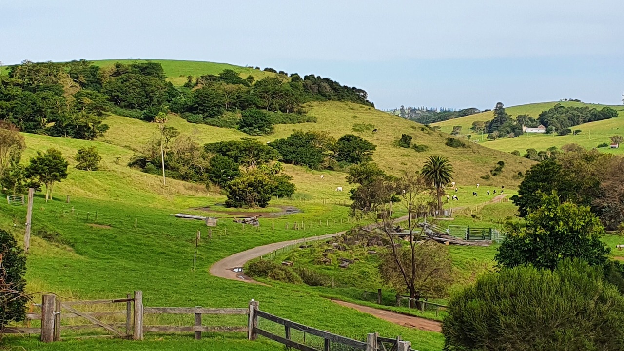 Photo of Outdoor in Rose Valley