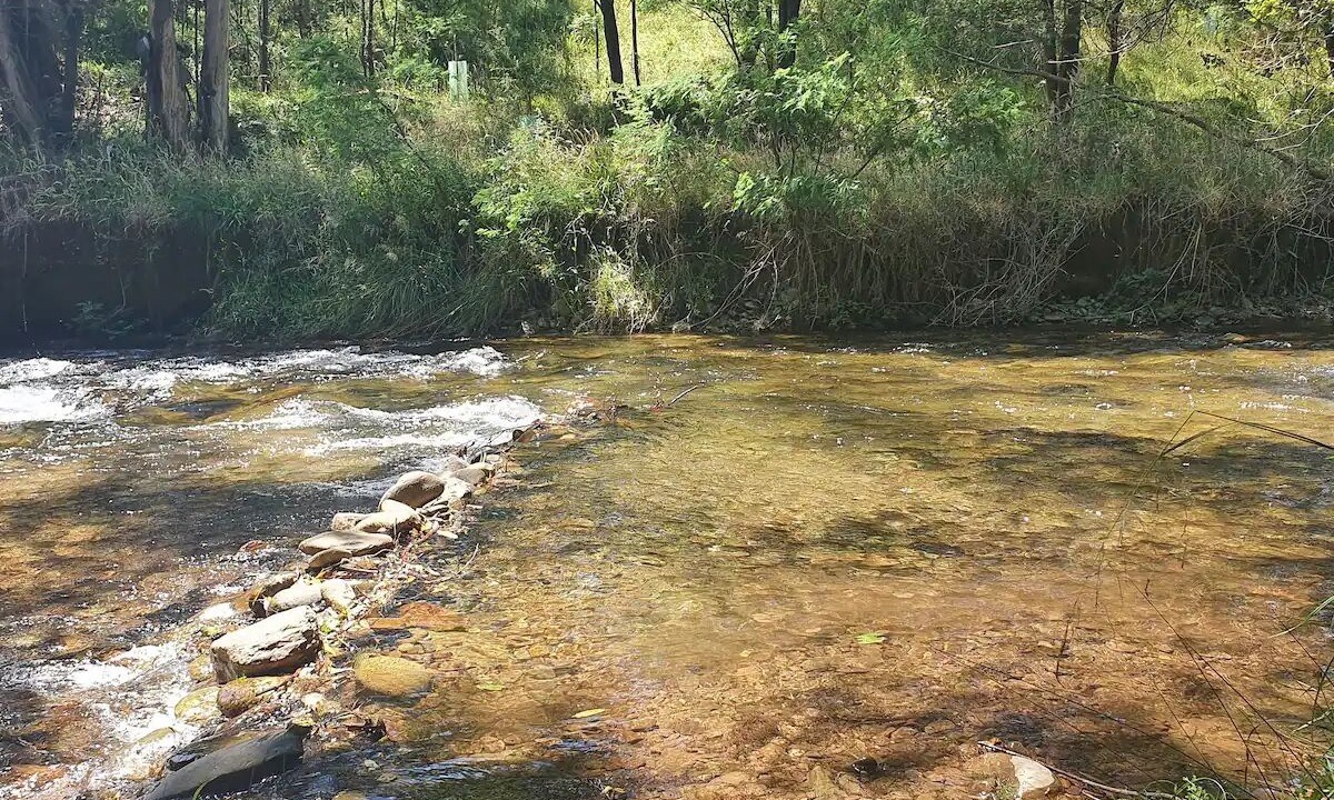 Photo of Outdoor in Harrietville