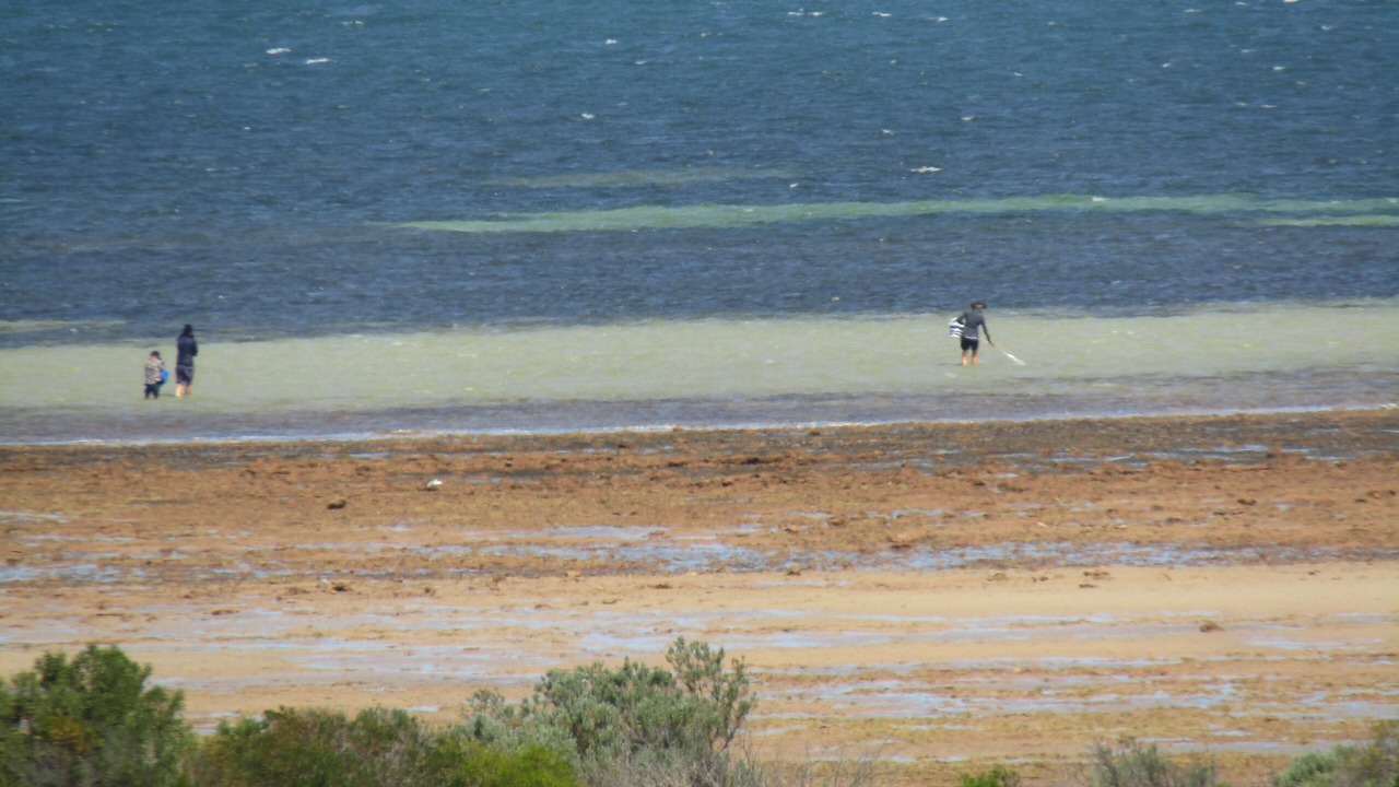 Photo of Others in Tiddy Widdy Beach
