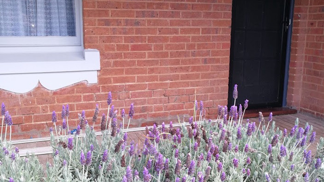 Photo of Outdoor in Central Mudgee