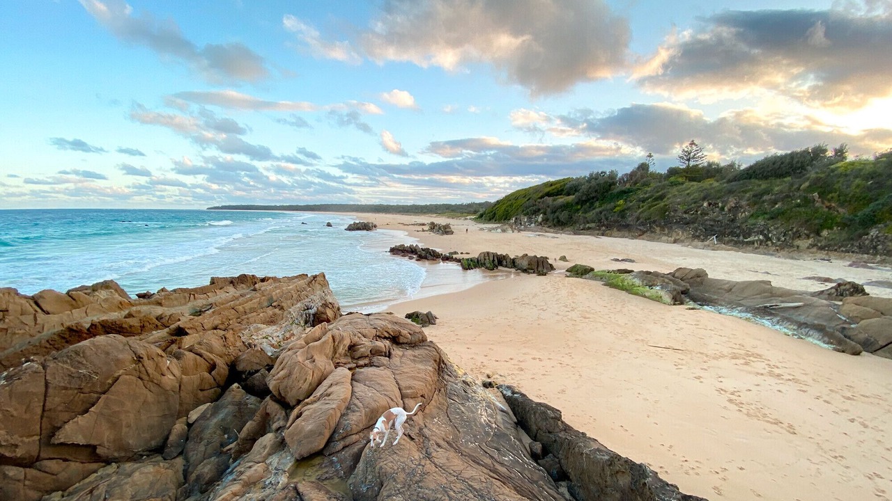 Photo of Others in Moruya Heads