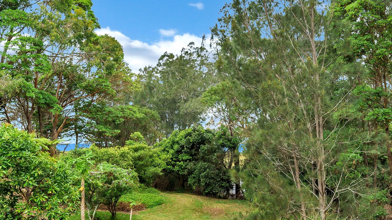 Photo of Others in Korora