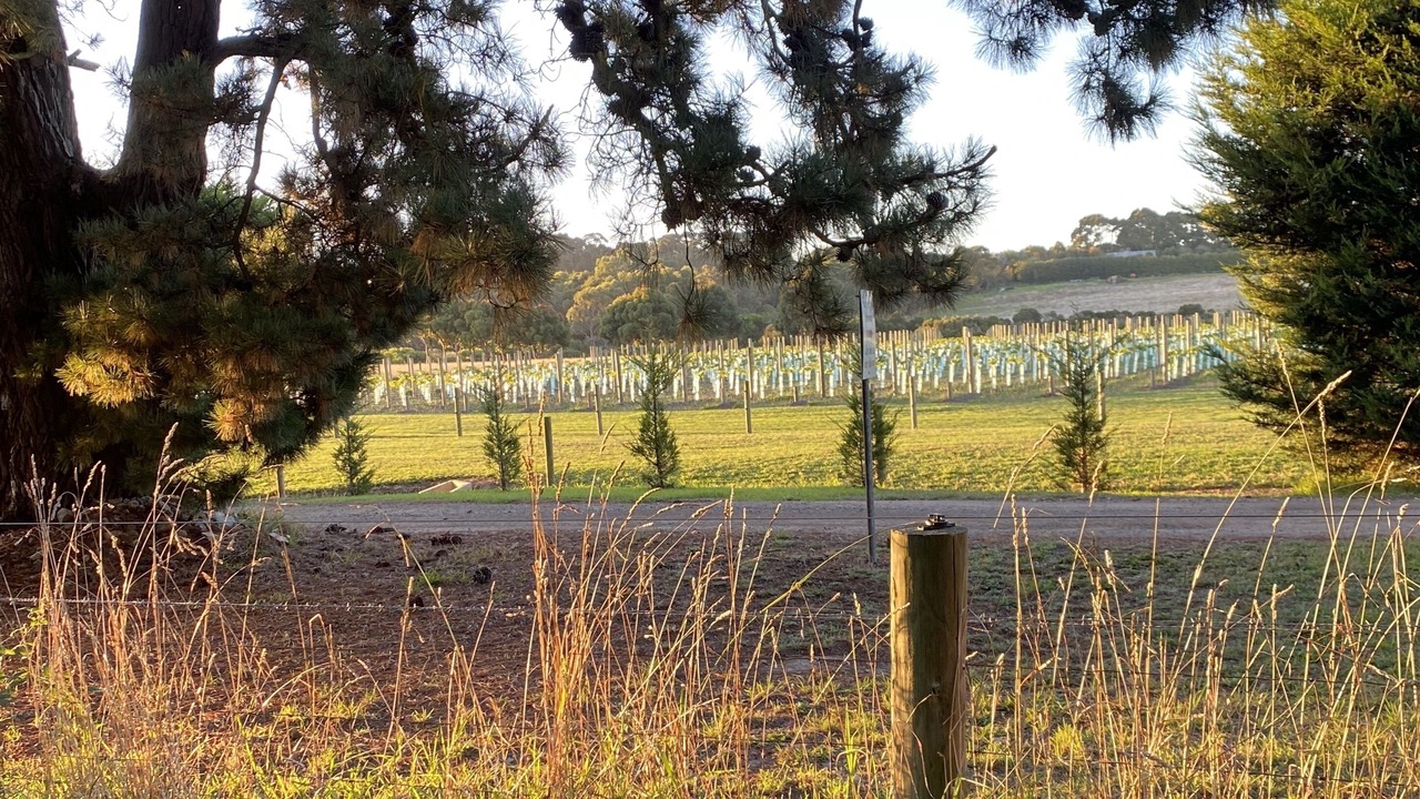 Photo of Outdoor in Red Hill South