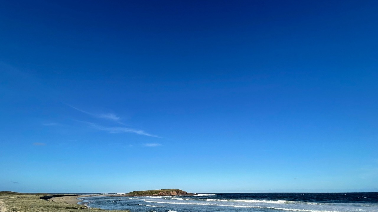 Photo of Others in Lake Illawarra