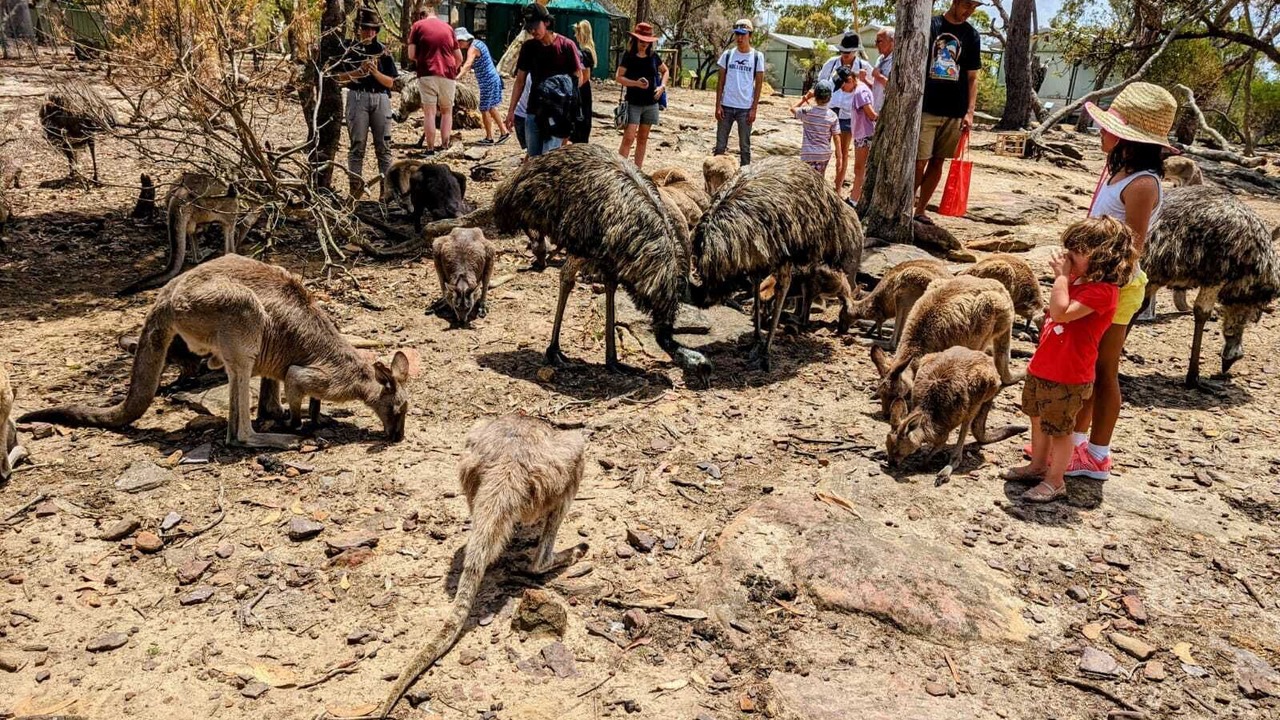 Photo of Others in Bateau Bay