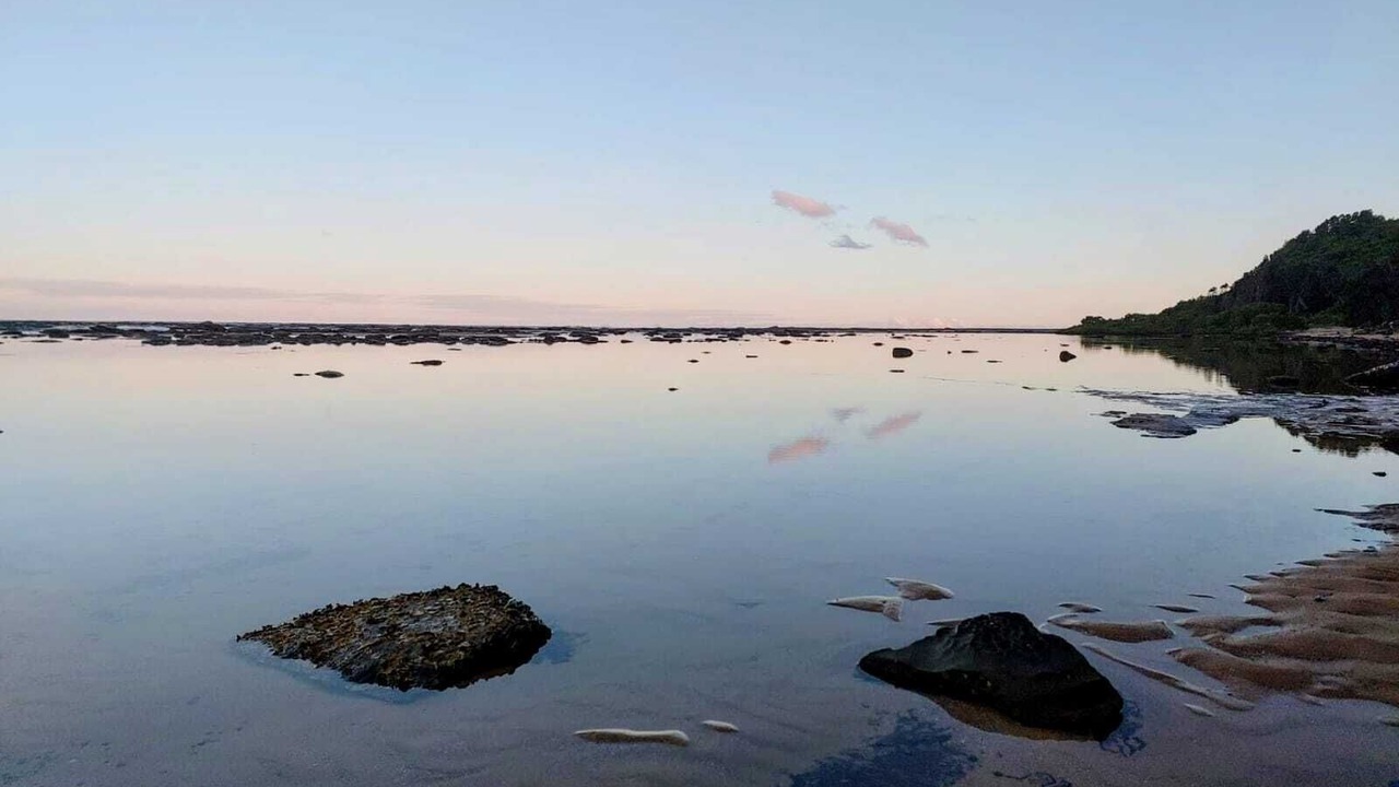 Photo of Others in Bateau Bay