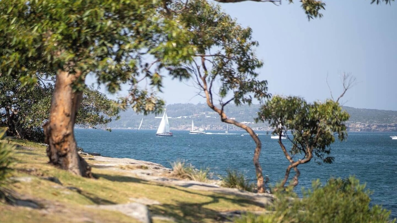 Photo of Others in Mosman