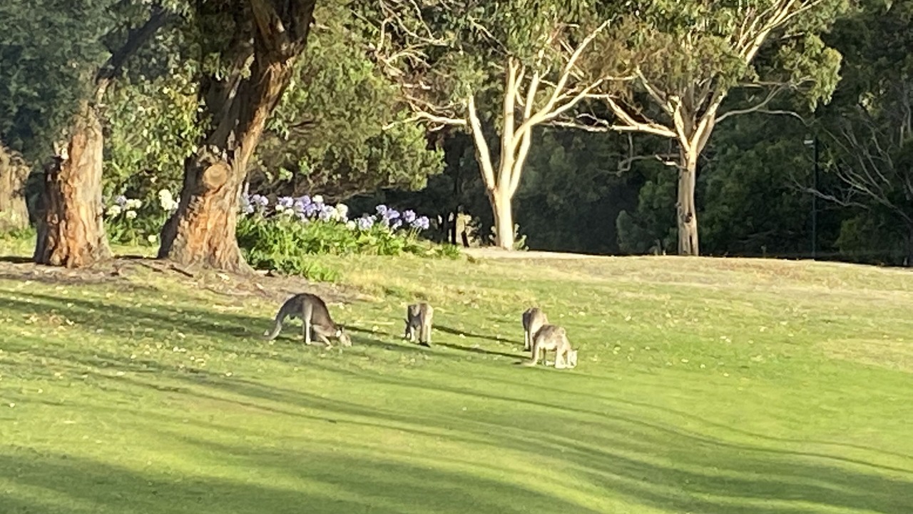 Photo of Outdoor in Kilmore