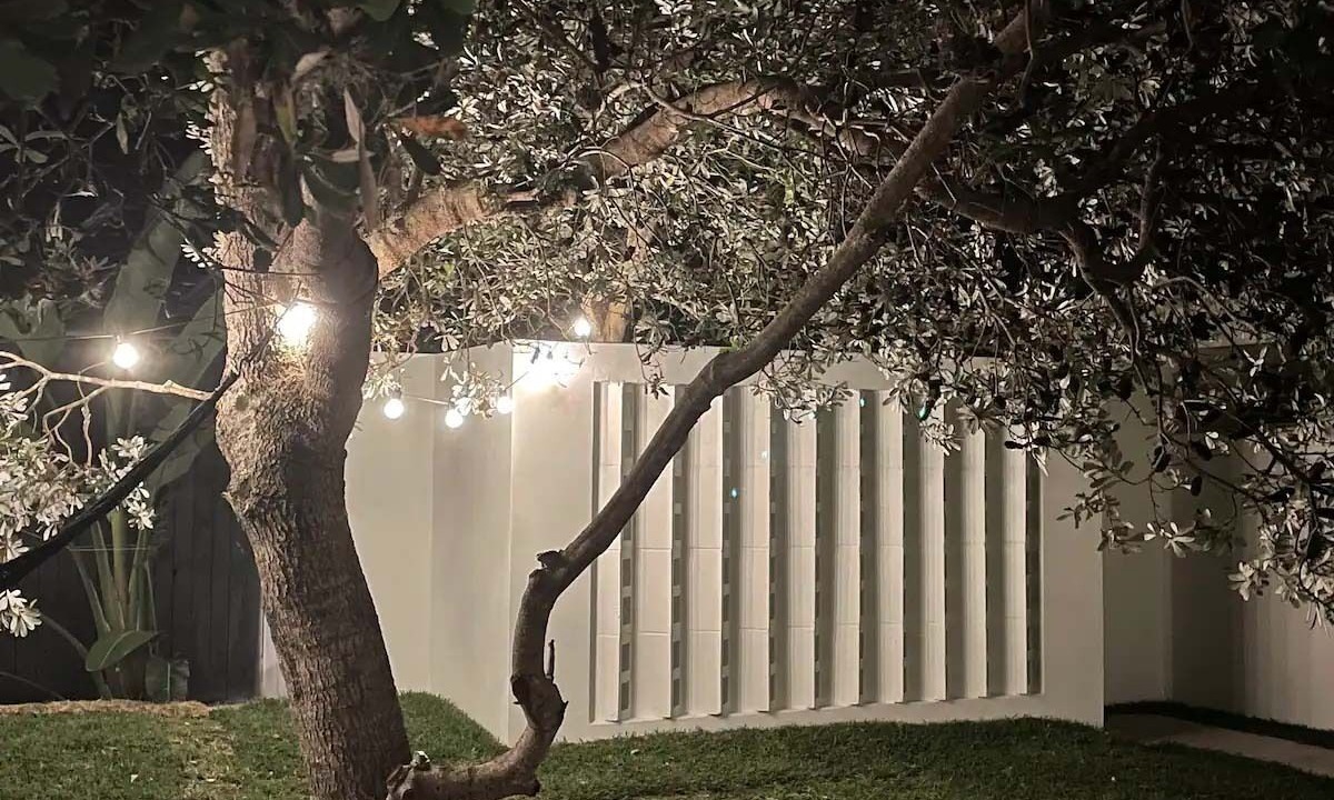 Photo of Outdoor in Bogangar