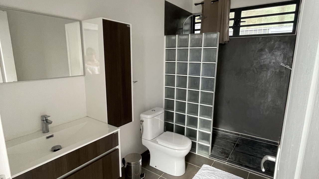 Photo of Bathroom in Punaauia