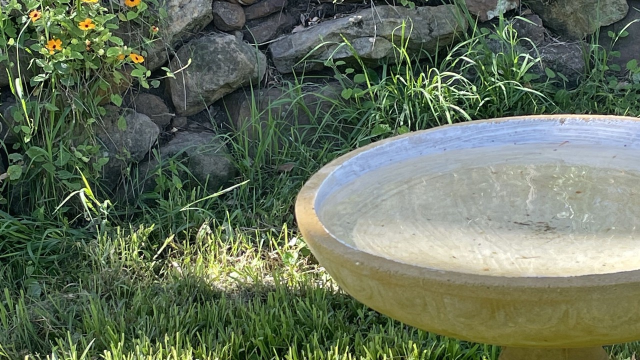 Photo of Outdoor in Wheeny Creek