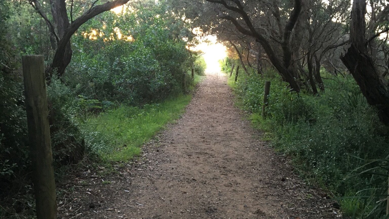 Photo of Outdoor in Stanwell Park
