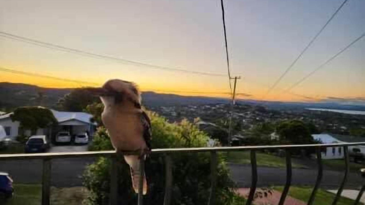 Photo of Patio Balcony in Bateau Bay