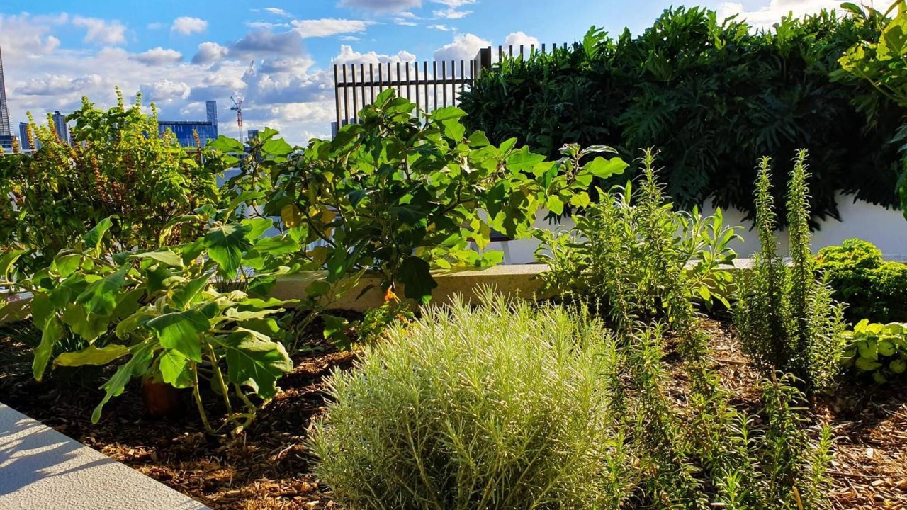 Photo of Outdoor in Newstead