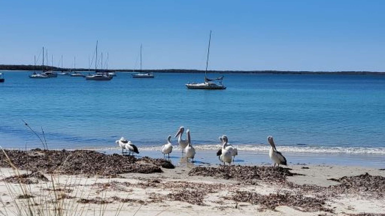 Photo of Others in Callala Bay