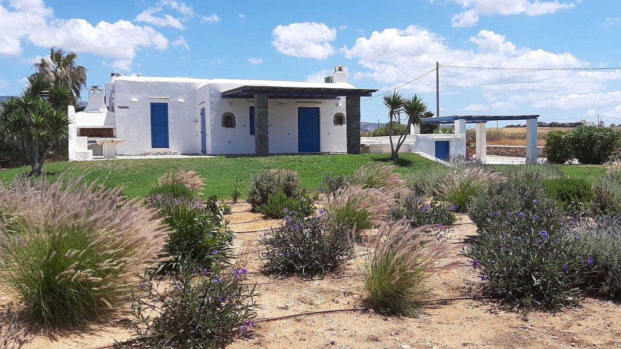 Photo of Outdoor in Pounta