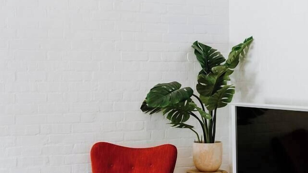 Photo of Livingroom in Central Mudgee