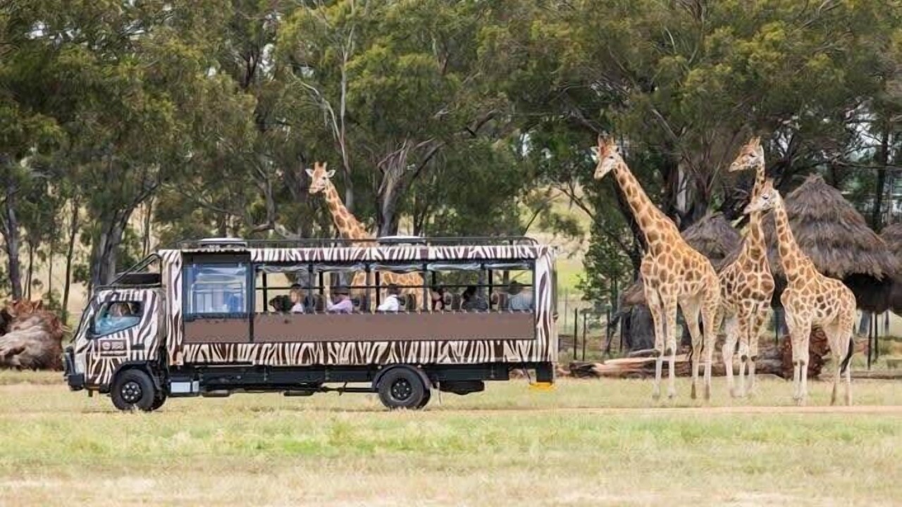 Photo of Others in Dubbo